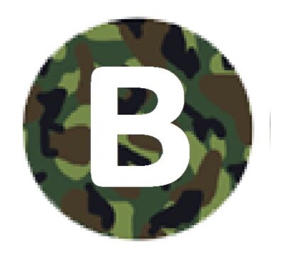 basicslogocamo2