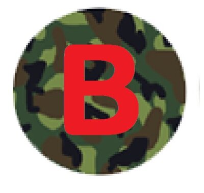 basicslogocamo3