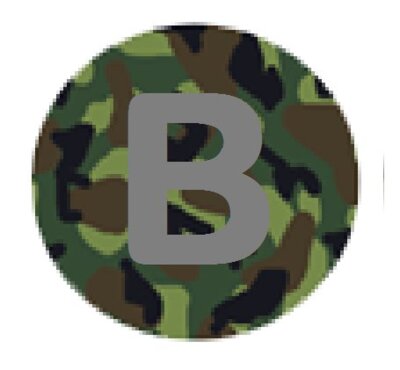 basicslogocamo4